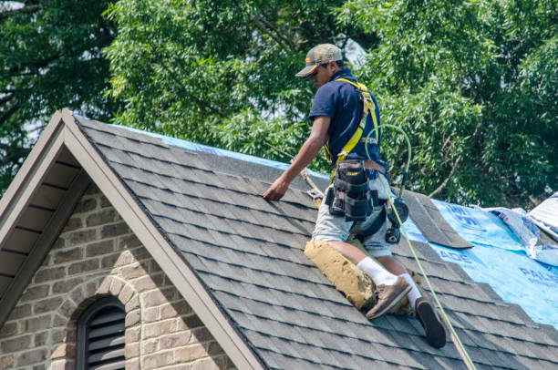 Best Roofing Contractor Near Me  in Georgetown, GA